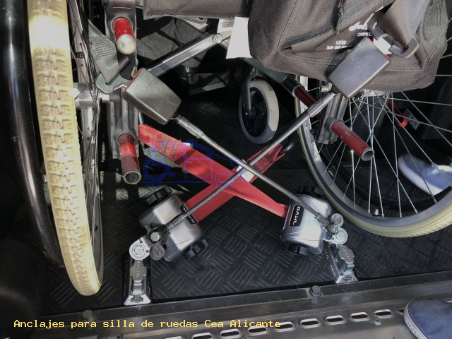 Sujección de silla de ruedas Cea Alicante