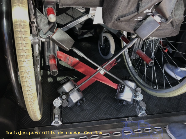 Sujección de silla de ruedas Cea Mox