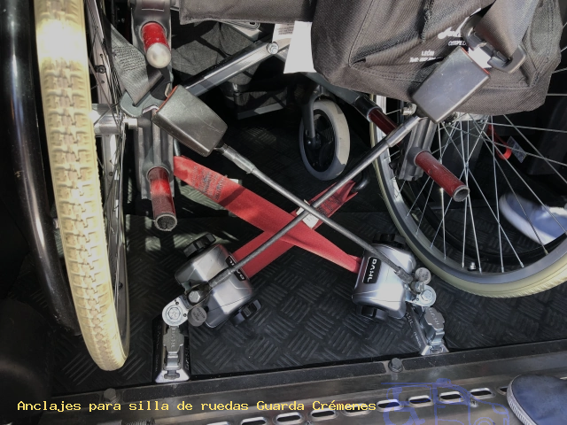 Anclaje de seguridad Guarda Crémenes