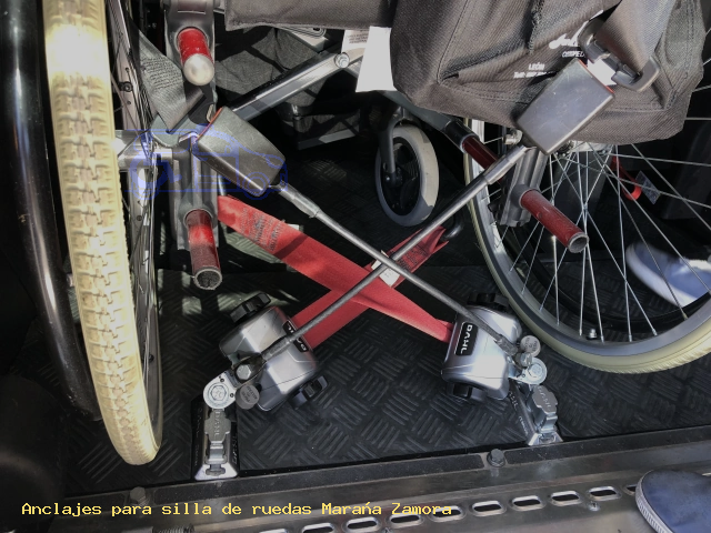 Seguridad para silla de ruedas Maraña Zamora