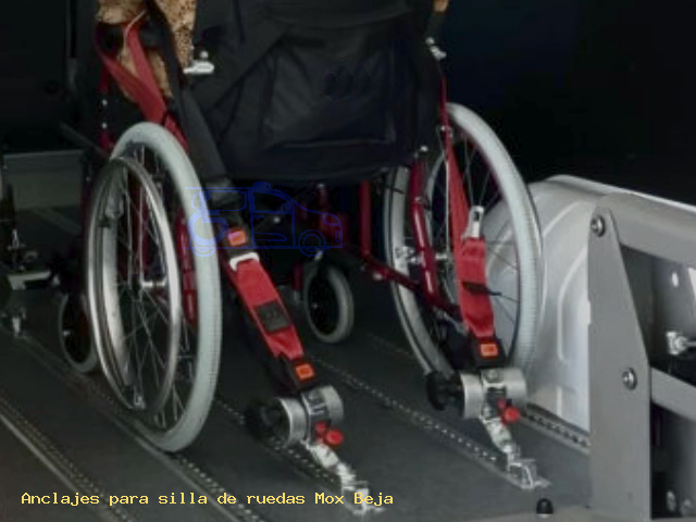 Anclajes de silla Mox Beja