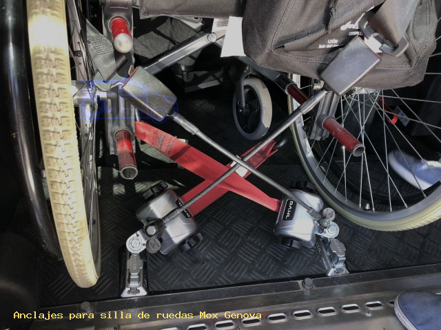 Sujección de silla de ruedas Mox Genova