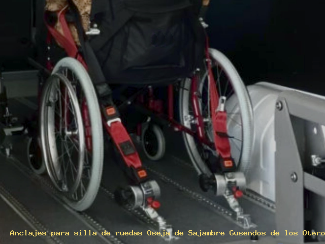 Sujección de silla de ruedas Oseja de Sajambre Gusendos de los Oteros