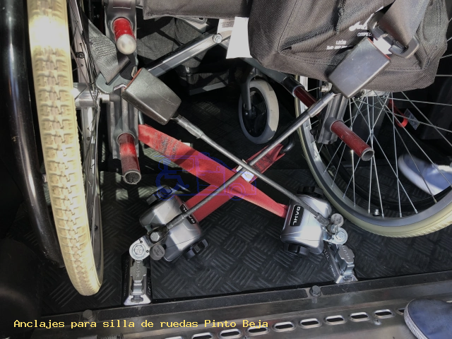 Fijaciones de silla de ruedas Pinto Beja