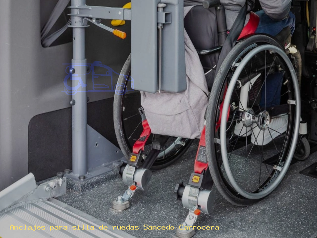 Seguridad para silla de ruedas Sancedo Carrocera