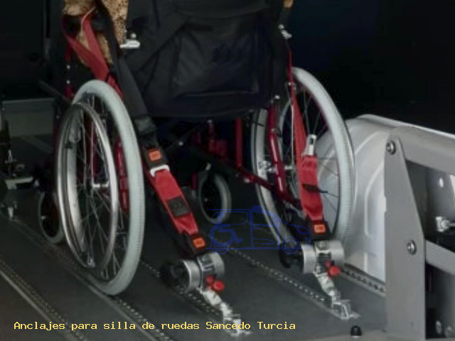 Anclaje silla de ruedas Sancedo Turcia