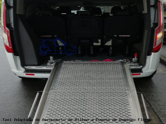 Taxi accesible de Puente de Domingo Flórez a Aeropuerto de Bilbao