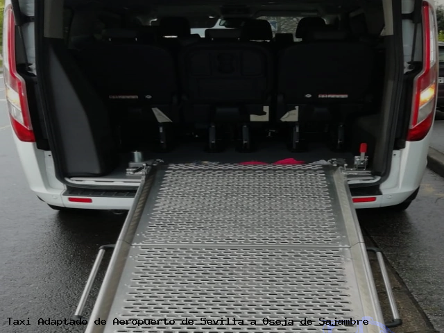 Taxi accesible de Oseja de Sajambre a Aeropuerto de Sevilla