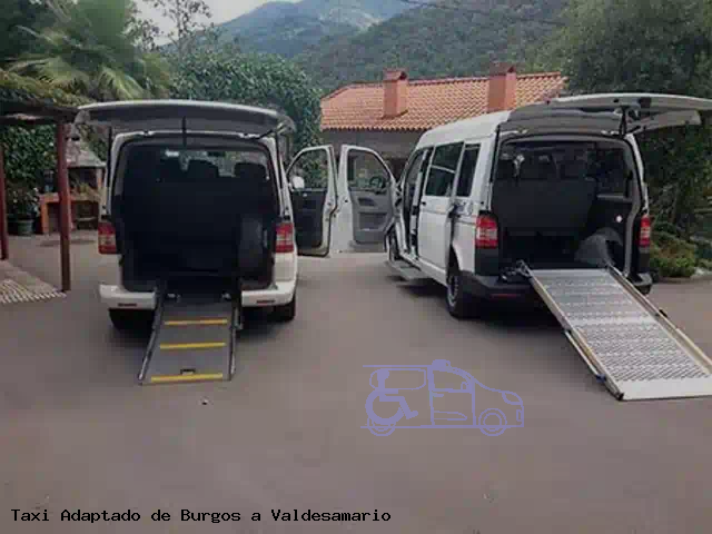 Taxi adaptado de Valdesamario a Burgos