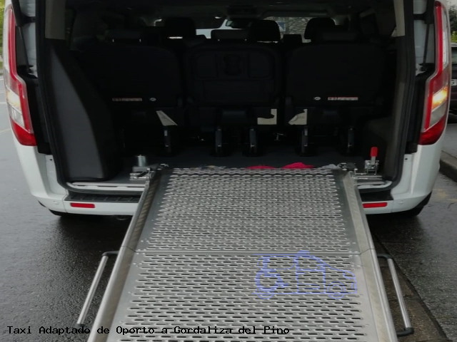 Taxi accesible de Gordaliza del Pino a Oporto