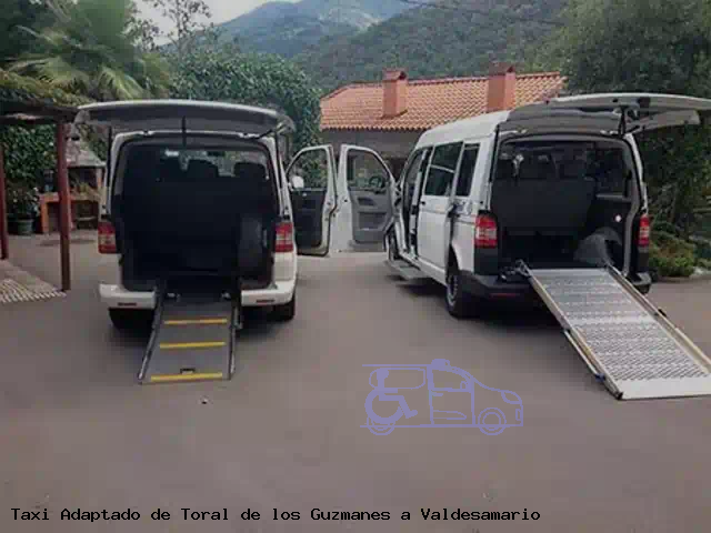 Taxi accesible de Valdesamario a Toral de los Guzmanes