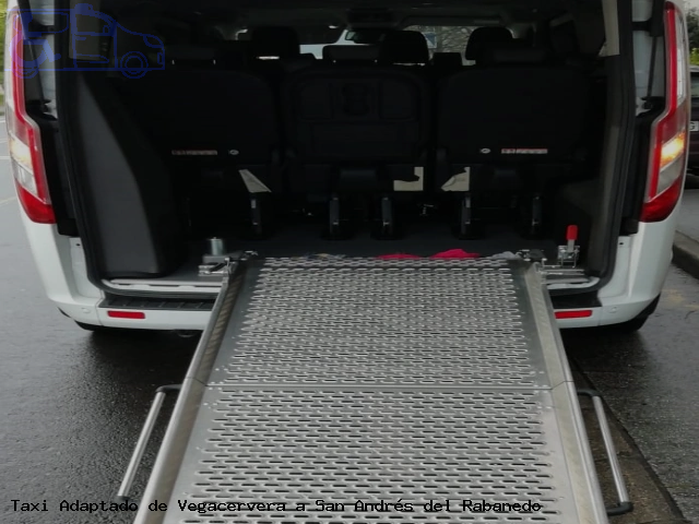 Taxi accesible de San Andrés del Rabanedo a Vegacervera